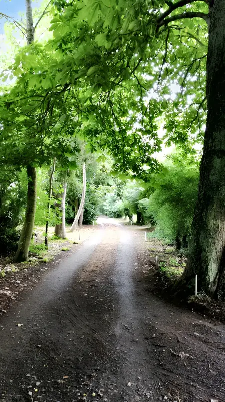 Maison cosy à Pontorson avec jardin clos et terrasse - Photo 11