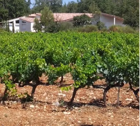 Villa de rêve à Garéoult, Villa 10 personnes à Garéoult - Photo 46