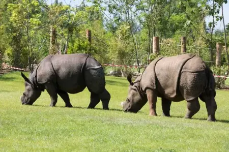 Maison charmante à La Flèche avec jardin et parking privé - Photo 7