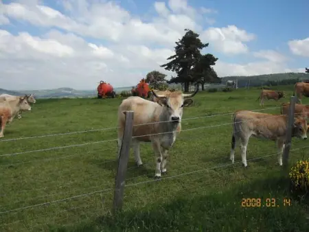 Maison charmante à Saint-Léger-les-Mélèzes avec jardin clôturé - Photo 13