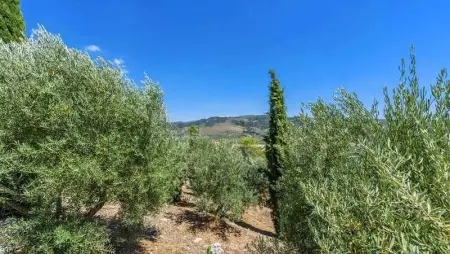 Villa élégante à Priego de Córdoba avec piscine privée - Photo 50