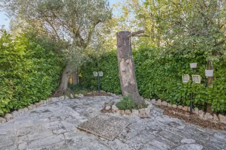 Maison charmante près de Monopoli avec terrasse - Photo 7