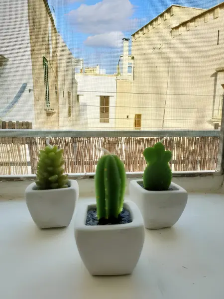 Appartement charmant à Polignano a Mare avec terrasse. - Photo 32