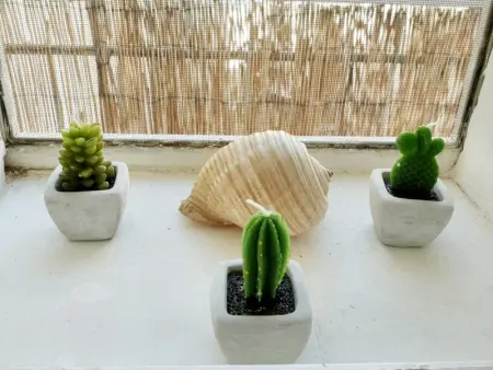 Appartement charmant à Polignano a Mare avec terrasse. - Photo 37