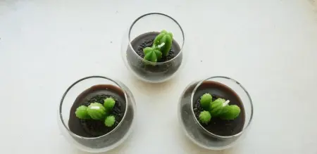 Appartement charmant à Polignano a Mare avec terrasse. - Photo 40