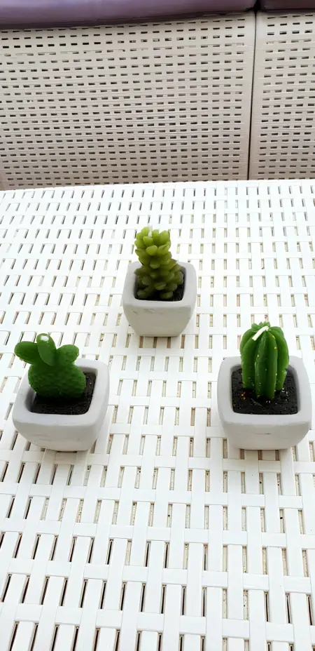 Appartement charmant à Polignano a Mare avec terrasse. - Photo 42