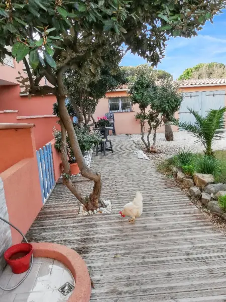 Studio confort à Hyères - 20 m² avec barbecue et terrasse - Photo 1