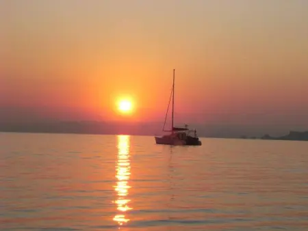 Studio confort à Hyères - 20 m² avec barbecue et terrasse - Photo 10