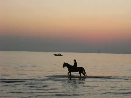 Studio confort à Hyères - 20 m² avec barbecue et terrasse - Photo 11