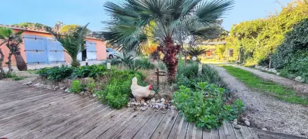 Studio confort à Hyères - 20 m² avec barbecue et terrasse - Photo 14