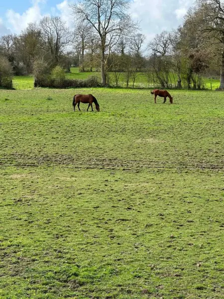 Maison charmante à Saint-Martin-des-Entrées, Maison 4 personnes à Saint Martin des Entrées - Photo 8
