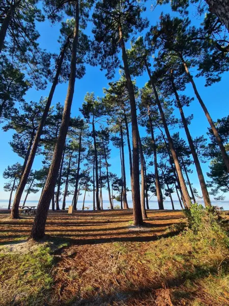 Appartement cosy à Arès - 40 m² - Jardin clôturé - Photo 10