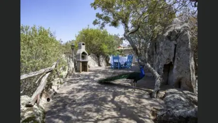 Villa avec vue sur la mer à Porto Rotondo + Piscine partagée. - Photo 11