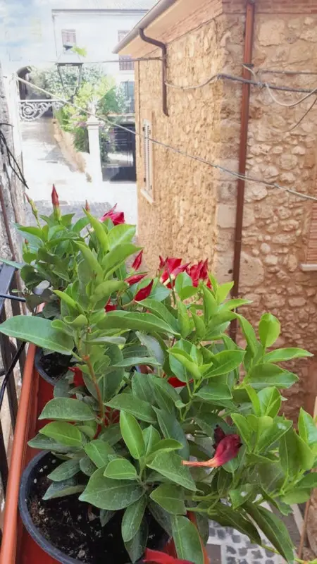 Appartement moderne proche du centre-ville d'Arce, 62 m², parking - Photo 18