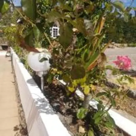 Charmant studio avec piscine, vue montagne à Monchique, 50m² - Photo 12