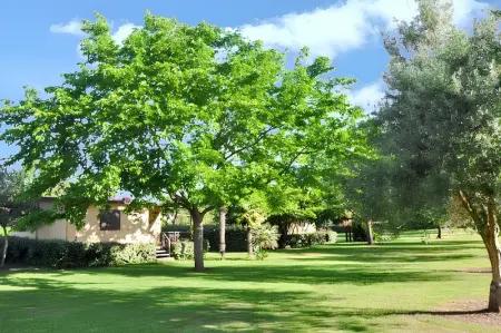 Bungalow confortable à Santa-Lucia-di-Moriani 38 m² jardin spacieux - Photo 13