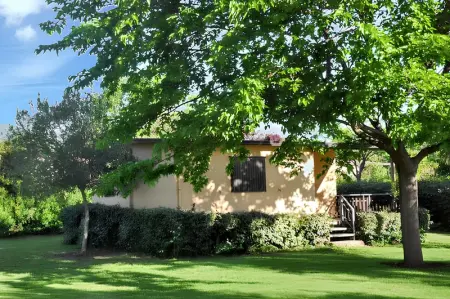 Bungalow confortable à Santa-Lucia-di-Moriani 38 m² jardin spacieux - Photo 14