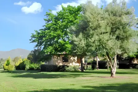 Bungalow confortable à Santa-Lucia-di-Moriani 38 m² jardin spacieux - Photo 16