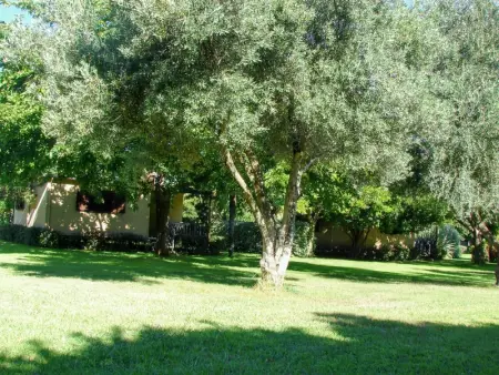 Bungalow confortable à Santa-Lucia-di-Moriani 38 m² jardin spacieux - Photo 18