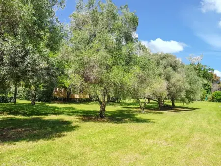 Bungalow confortable à Santa-Lucia-di-Moriani 38 m² jardin spacieux - Photo 19