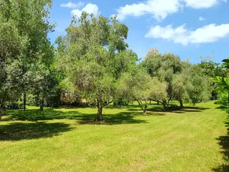 Bungalow confortable à Santa-Lucia-di-Moriani 38 m² jardin spacieux - Photo 20