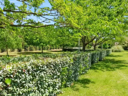 Bungalow confortable à Santa-Lucia-di-Moriani 38 m² jardin spacieux - Photo 21