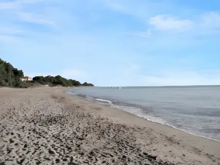 Bungalow confortable à Santa-Lucia-di-Moriani 38 m² jardin spacieux - Photo 29