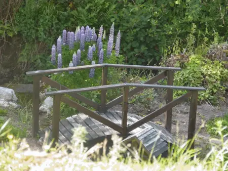 Appartement moderne à Cornimont 30 m² avec vue montagne - Photo 10