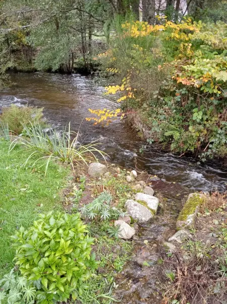 Appartement moderne à Cornimont 30 m² avec vue montagne - Photo 12