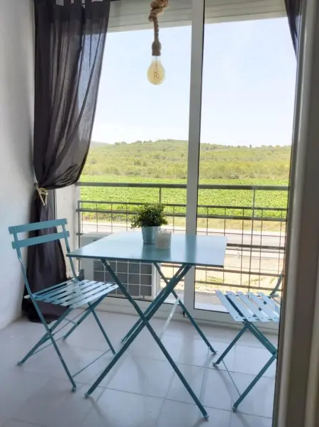 Appartement à Francàs, Appartement charmant avec vue sur montagne à Francàs - 45m² - L1063360