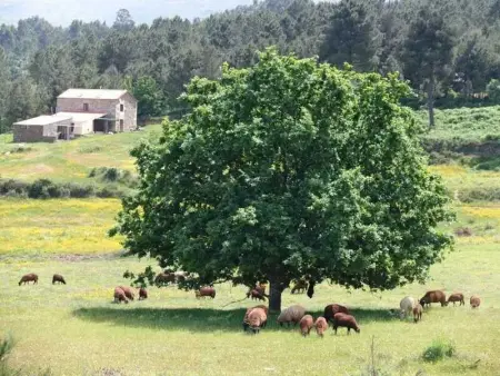 Maison spacieuse à Seia avec vue imprenable sur les montagnes, 150 m² - Photo 28