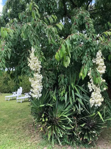 Villa charmante à Saint-Martin-Longueau avec piscine privée - Photo 37