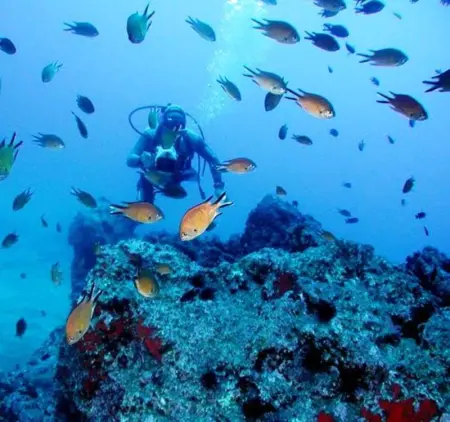 Maison spacieuse à Peniche, Maison 9 personnes à Peniche - Photo 39