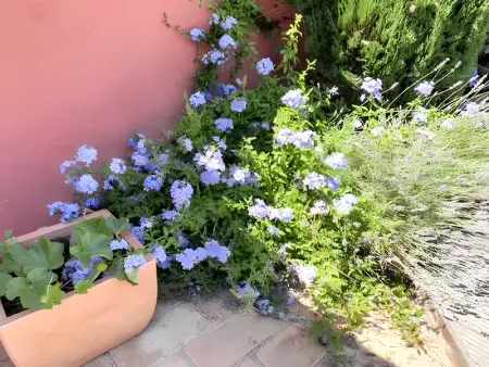 Villa charmante à Agde avec piscine privée et jardin - Photo 20