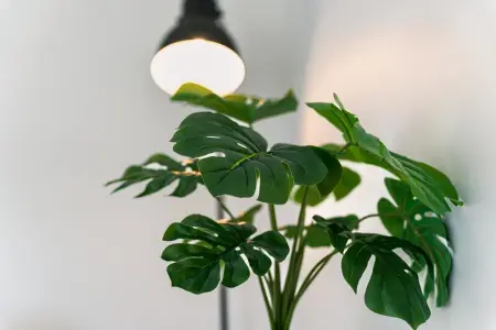 Villa confortable à Seignosse avec piscine privée - Photo 17