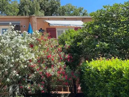 Maison charmante à San-Nicolao 55 m² avec piscine partagée - Photo 10