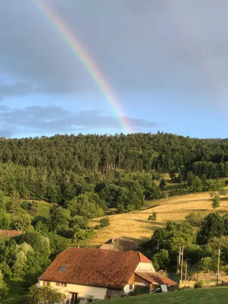 Maison pittoresque à Sainte-Croix-aux-Mines, vue sur la montagne - Photo 6