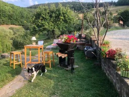 Maison pittoresque à Sainte-Croix-aux-Mines, vue sur la montagne - Photo 8