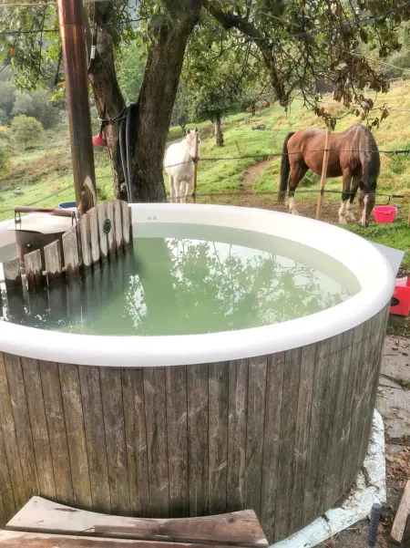 Maison pittoresque à Sainte-Croix-aux-Mines, vue sur la montagne - Photo 27