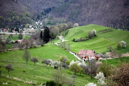 Maison pittoresque à Sainte-Croix-aux-Mines, vue sur la montagne - Photo 37