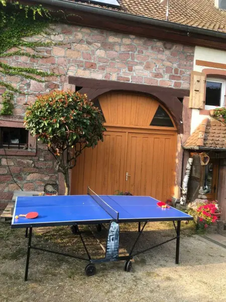 Maison pittoresque à Sainte-Croix-aux-Mines, vue sur la montagne - Photo 43