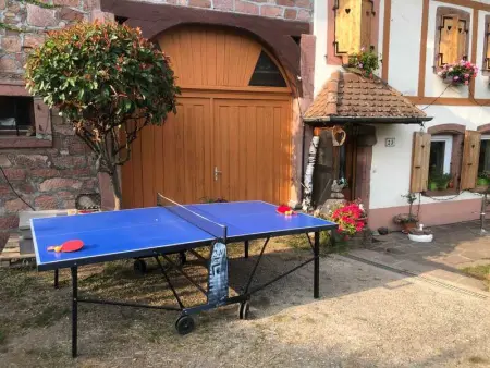 Maison pittoresque à Sainte-Croix-aux-Mines, vue sur la montagne - Photo 45