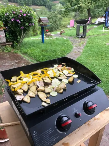 Maison pittoresque à Sainte-Croix-aux-Mines, vue sur la montagne - Photo 47