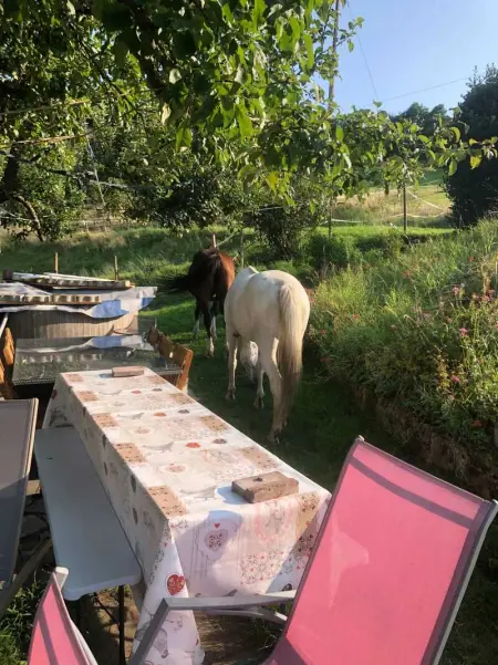 Maison pittoresque à Sainte-Croix-aux-Mines, vue sur la montagne - Photo 57