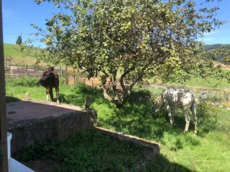 Maison pittoresque à Sainte-Croix-aux-Mines, vue sur la montagne - Photo 58