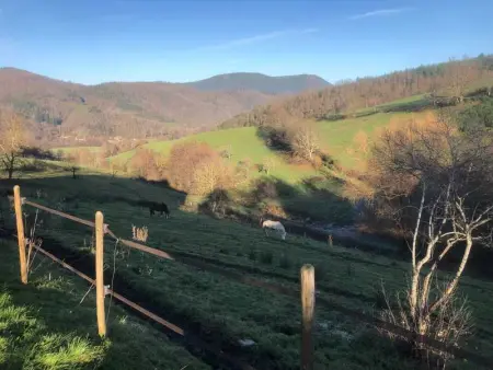 Maison pittoresque à Sainte-Croix-aux-Mines, vue sur la montagne - Photo 59