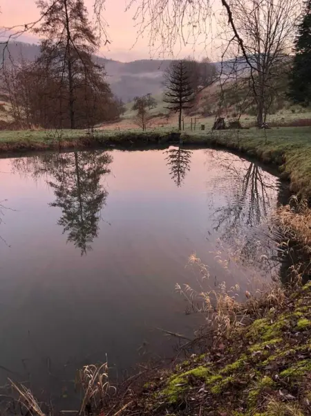 Maison pittoresque à Sainte-Croix-aux-Mines, vue sur la montagne - Photo 62