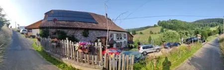 Maison pittoresque à Sainte-Croix-aux-Mines, vue sur la montagne - Photo 64