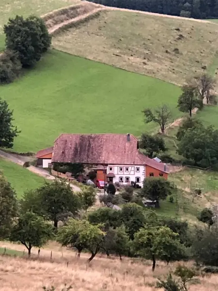 Maison pittoresque à Sainte-Croix-aux-Mines, vue sur la montagne - Photo 69