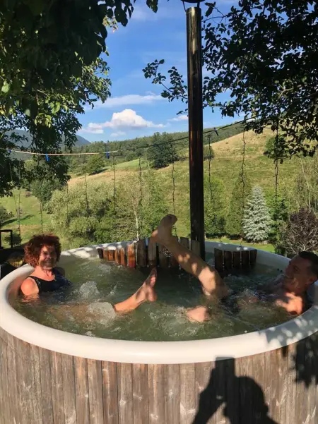 Maison pittoresque à Sainte-Croix-aux-Mines, vue sur la montagne - Photo 72
